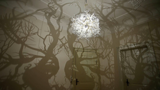 Chandelier casts a fantasy forest of shadows against the walls